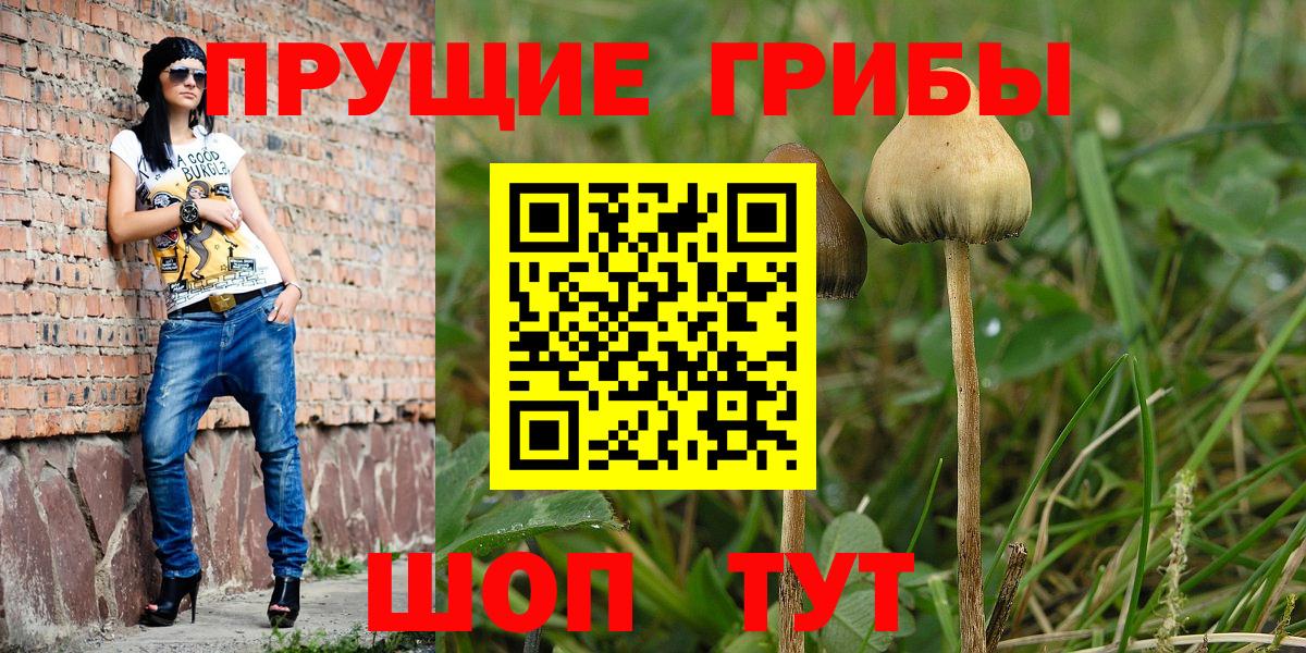 Галлюциногенные грибы ЛСД Шелехов
