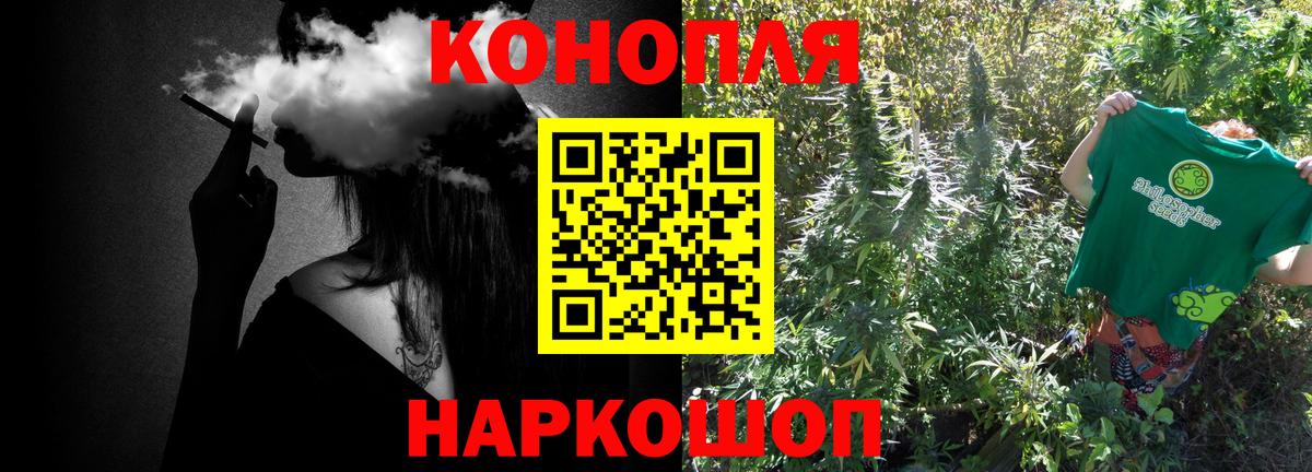 Бошки марихуана планчик  МАРИХУАНА тримм  МАРИХУАНА AK-47  Шелехов  Вход с VPN  Марихуана THC 21% 